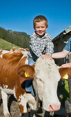 Junge sitzt auf einer Kuh, Hofbauern-Alm, Kampenwand, Chiemgau, Oberbayern, Bayern, Deutschland
