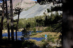 Young woman hiking through the wonderful nature in the Tioga Pass area, Yosemite National Park, California, USA