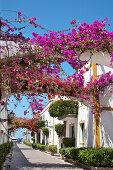 Houses with flowers, Puerto de Mogan, Gran Canaria, Canary Islands, Spain, Europe