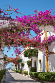 Häuser mit Blumen, Puerto de Mogan, Gran Canaria, Kanarische Inseln, Spanien, Europa