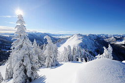 Verschneite Fichten auf Bergkamm mit Blick auf Karkopf, Hochries, Chiemgauer Alpen, Chiemgau, Oberbayern, Bayern, Deutschland