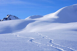 Two ski tracks in powder snow, Kitzbuehel alps, Tyrol, Austria