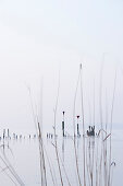 Lake Constance in winter, near Ueberlingen, Baden-Wurttemberg, Germany