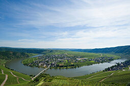 Mosel sinousity at Piesport in spring, Piesport, Rhineland Palatinate, Germany