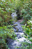 Bodekessel, Bodetal, Thale, Harz, Sachsen-Anhalt, Deutschland