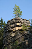 Felsformation Feuerstein, Schierke, Harz, Sachsen-Anhalt, Deutschland