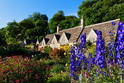 Houses and flowers in the sunlight, Bibury, Gloucestershire, Cotswolds, England, Great Britain, Europe