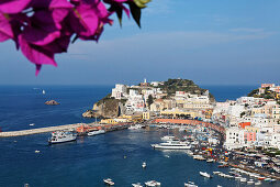 View of the port and the town of Ponza, Island of Ponza, Pontine Islands, Lazio, Italy, Europe