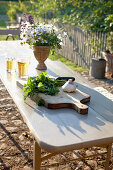Tisch mit Blumenstrauß und frischen Kräutern in einem Garten, Haus Strauss, Bauernkate in Klein Thurow, Roggendorf, Mecklenburg-Vorpommern, Deutschland