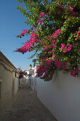 Red bougainvillaea flowers at the entrance of a narrow street in Loule, Loule, Algarve, Portugal, Europe
