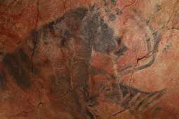 horses, prehistoric painting, cave painting, about 15000 BC, Cueva de Tito Bustillo, cave near Ribadesella, replica, Parque de la Prehistoria de Teverga, Teverga, Park of Prehistory in Teverga, province of Asturias, Principality of Asturias, Northern Spai