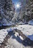 Snowy Radmerbach stream in the sunlight, Rotmoos, Styria, Austria, Europe