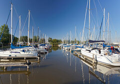 Segelboote in Rust, Ruster Bucht, Neusiedlersee, Burgenland, Österreich