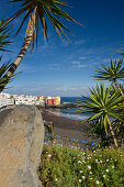 View through palm trees onto sandy beach, Playa Jardin, Puerto de la Cruz, Tenerife, Canary Islands, Spain, Europe