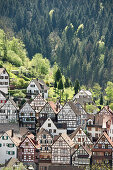 View of medieval inner city with half timbered houses, Schiltach, south of Freudenstadt, Black Forest, Baden-Wuerttemberg, Germany, Europe