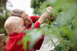 Mother and child examining plants. Mother and child examining plants