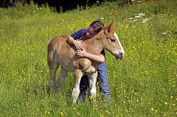 BOY WITH NORMAN COB´S FOAL