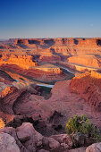 Sonnenaufgang am Dead Horse Point mit Blick auf Fluss Colorado River, Canyonlands Nationalpark, Moab, Utah, Südwesten, USA, Amerika