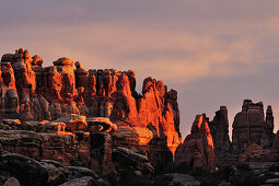Felstürme im Chesler Park am Morgen, Needles Area, Canyonlands Nationalpark, Moab, Utah, Südwesten, USA, Amerika