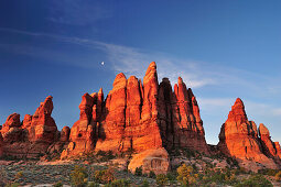 Felstürme im Chesler Park, Needles Area, Canyonlands Nationalpark, Moab, Utah, Südwesten, USA, Amerika