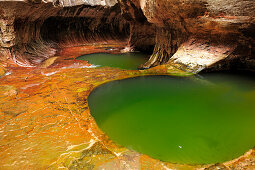 Subway mit natürlichem Pool, Subway, North Creek, Zion Nationalpark, Utah, Südwesten, USA, Amerika