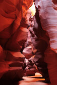 Sun illuminating colourful sandstone slot canyon, Upper Antelope Canyon, Antelope Canyon, Page, Arizona, Southwest, USA, America