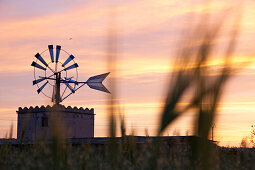 Wind mill at sunset, symbol of Mallorca, Es Pla, near Palma de Mallorca, Spain