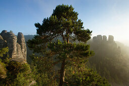 Blick von der Felsenburg Neurathen zu den Gansfelsen, Bastei, Nationalpark Sächsische Schweiz, Elbsandsteingebirge, Sachsen, Deutschland, Europa