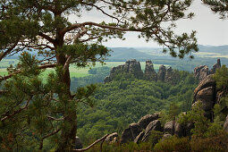 View of Schrammsteine Rocks, National Park Saxon Switzerland, Elbe Sandstone Mountains, Saxony, Germany, Europe