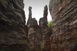 Hercules Towers at Bielatal valley, National Park Saxon Switzerland, Elbe Sandstone Mountains, Saxony, Germany, Europe