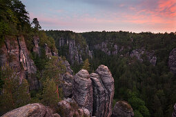 Blick von der Felsenburg Neurathen über den Wehlgrund, Bastei, Nationalpark Sächsische Schweiz, Elbsandsteingebirge, Sachsen, Deutschland, Europa