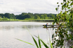 Pelhamer See near Eggstaett, Chiemgau, Bavaria, Germany