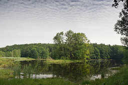 Langbürgner See, bei Eggstätt, Chiemgau, Bayern, Deutschland