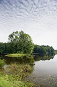 Langbürgner See, bei Eggstätt, Chiemgau, Bayern, Deutschland