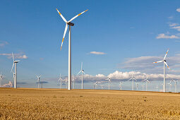 Windenergieanlage im Getreidefeld, Windpark neben der Autobahn A2 nach Berlin, Sachsen-Anhalt, Deutschland