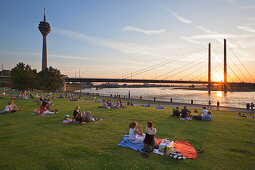 Menschen auf einer Wiese an der Rheinuferpromenade bei Sonnenuntergang, Blick auf Rheinturm und Rheinkniebrücke, Düsseldorf, Nordrhein-Westfalen, Deutschland, Europa