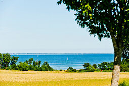 view und sailboats on the Baltic Sea near Westerholz, Schleswig-Holstein, Germany