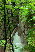 Partnach river running through a rocky gorge, Partnachklamm, Garmisch, Wetterstein range, Upper Bavaria, Bavaria, Germany