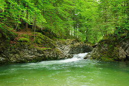 Gebirgsbach Prien fließt durch enges Bachbett, Priental, Chiemgau, Chiemgauer Alpen, Oberbayern, Bayern, Deutschland