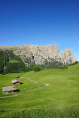 Alpine meadow and hay barns in front of Schlern and Rosszaehne, Seiseralm, Dolomites, UNESCO world heritage site Dolomites, South Tyrol, Italy