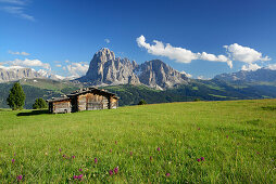 Meadow with farmhouse in front of Sella and Langkofel, Val Gardena, Dolomites, UNESCO world heritage site Dolomites, South Tyrol, Italy