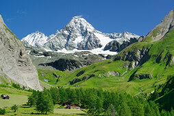 Almen vor Großglockner, Luckneralm, Großglockner, Nationalpark Hohe Tauern, Osttirol, Österreich