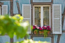 Half timbered house with flower box, Petite Venise, Colmar, Alsace, France