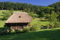 Strohgedeckte Mühle mit Bauerngarten, Oberprechtal, Schwarzwald, Baden-Württemberg, Deutschland, Europa
