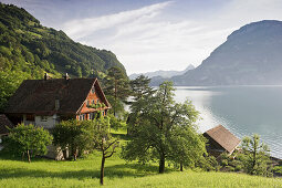 Farmhouse on the bank of lake Lucerne, canton Uri, Switzerland, Europe