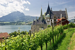 Meggenhorn castle with Mount Pilatus in the background, Lake Lucerne, canton Lucerne, Switzerland, Europe
