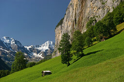 Sonnenbeschienene Wiese im Lauterbrunnental, Kanton Bern, Schweiz, Europa