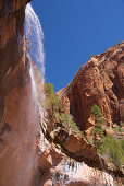 Waterfall at the Lower Emerald Pool, Zion National Park, Utah, USA, America