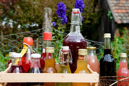 Bottles of juice, sirup and liqueurs, homemade, Garden