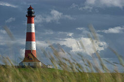 Leuchtturm Westerheversand und Salzwiesen, Westerhever, Halbinsel Eiderstedt, Nationalpark Schleswig-Holsteinisches Wattenmeer, Nordfriesland, Schleswig-Holstein, Deutschland, Europa